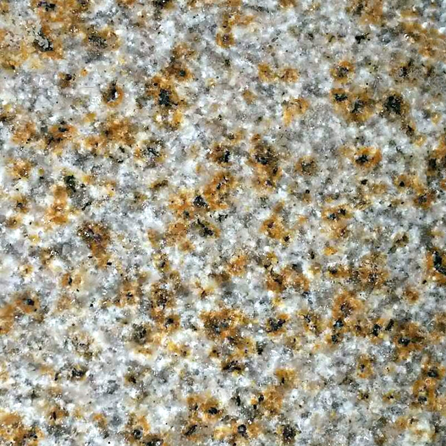 大小红星荔枝面