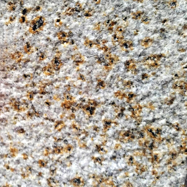 大小红星荔枝面