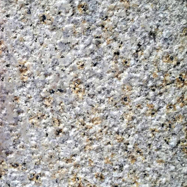 大小红星荔枝面