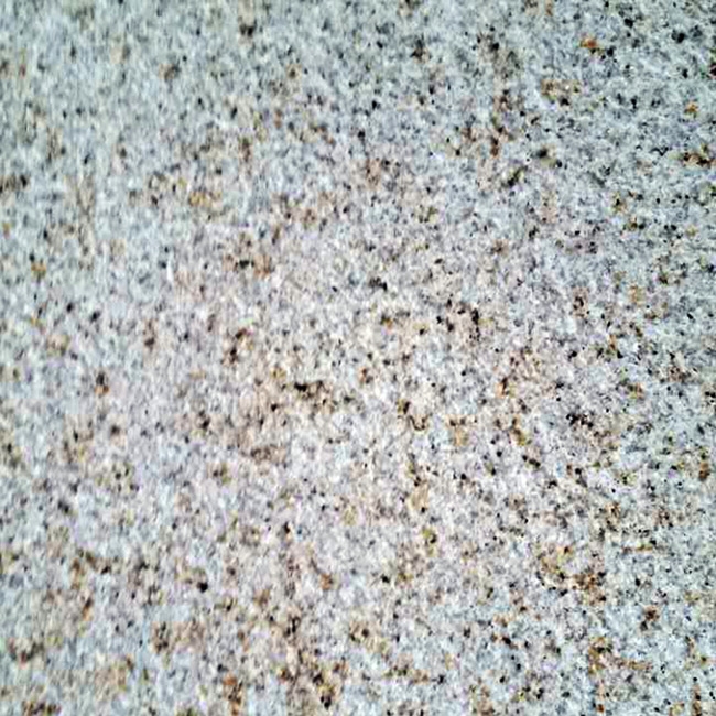 大小红星荔枝面
