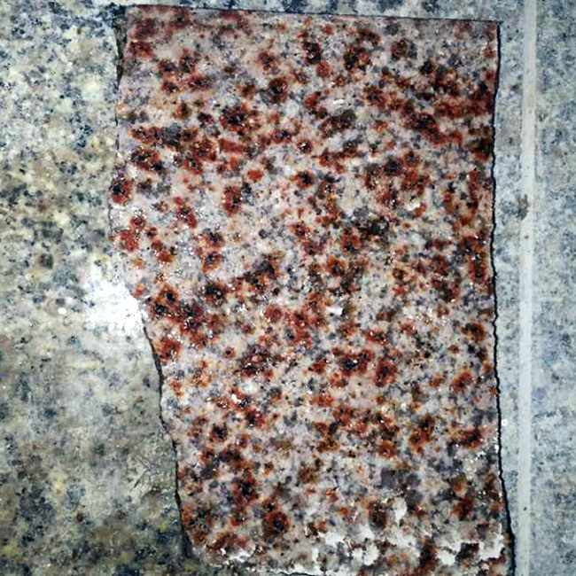 大小红星荔枝面