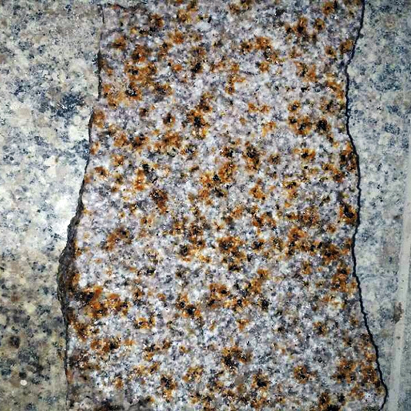 大小红星荔枝面