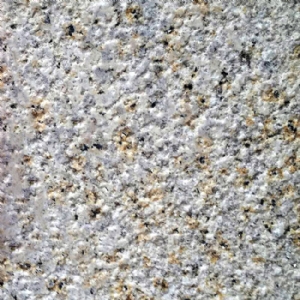 大小红星荔枝面
