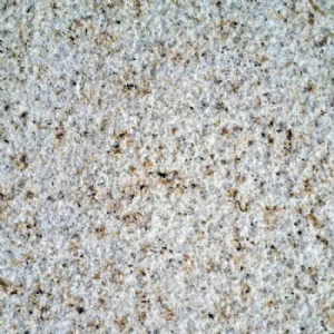 大小红星荔枝面