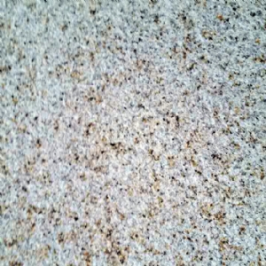 大小红星荔枝面