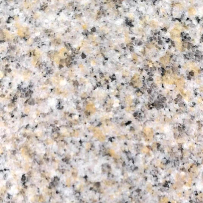 蘑菇石菠萝面售价